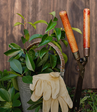 Agro Tools